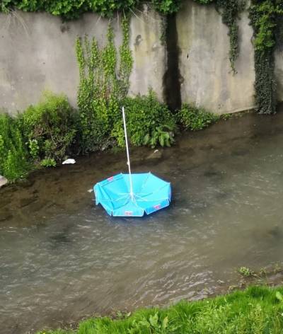 Die Konkurrenz geht baden